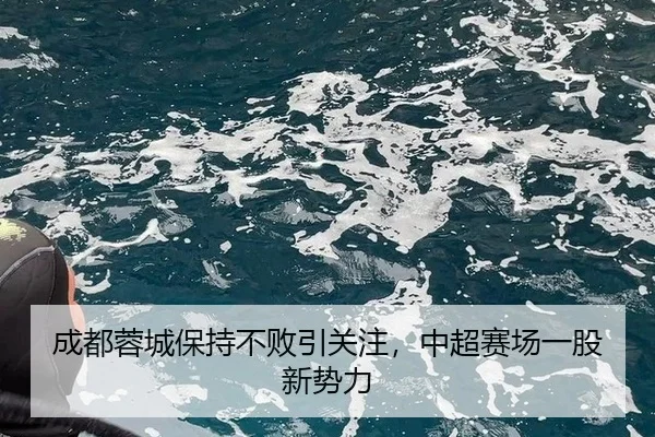 成都蓉城保持不败引关注，中超赛场一股新势力