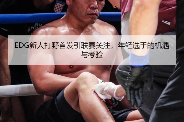 EDG新人打野首发引联赛关注，年轻选手的机遇与考验