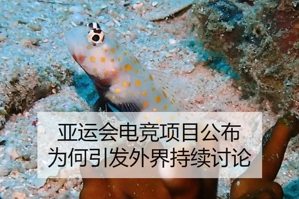 亚运会电竞项目公布 为何引发外界持续讨论